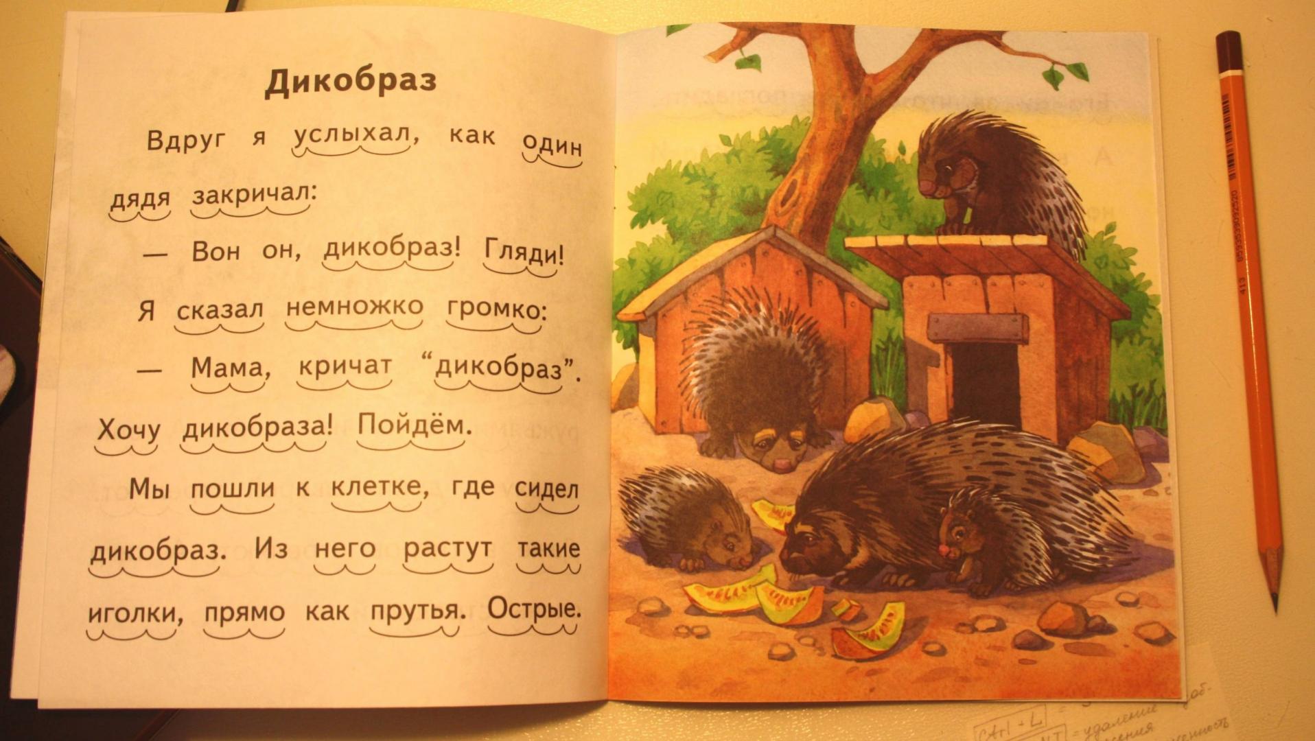 Иллюстрация 8 из 15 для Какие слоны умные - Борис Житков | Лабиринт - книги. Источник: Кончиц  Анна Евгеньевна