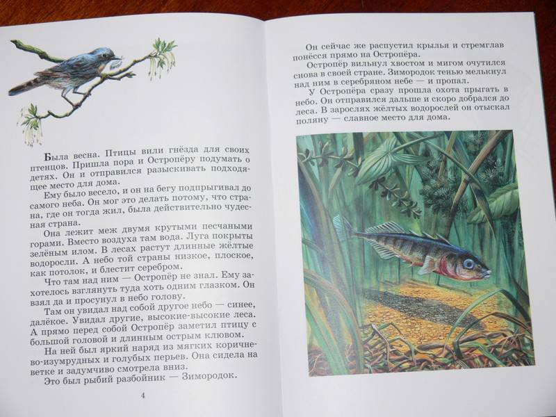 Иллюстрация 12 из 17 для Рыбий дом - Виталий Бианки | Лабиринт - книги. Источник: Irbis
