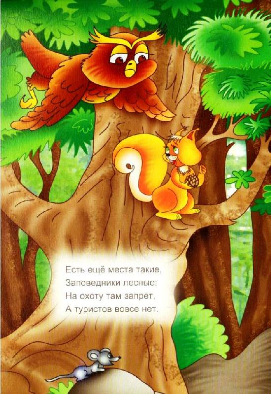 Иллюстрация 5 из 6 для Мудрый лесовик - И.А. Барская | Лабиринт - книги. Источник: Zhanna
