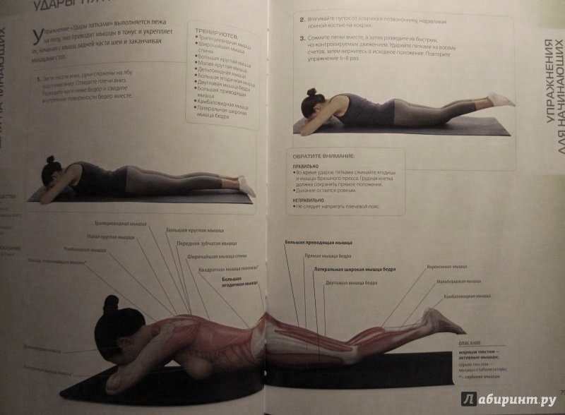 Иллюстрация 8 из 16 для Анатомия пилатеса - Абигейл Эллсуорт | Лабиринт - книги. Источник: very_nadegata