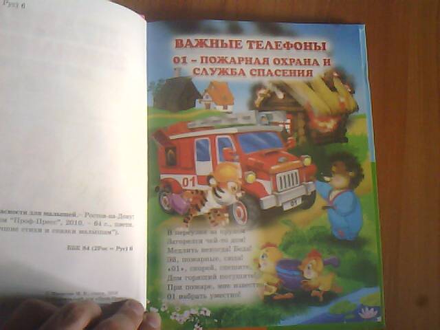 Иллюстрация 8 из 20 для Правила безопасности для малышей - Мария Манакова | Лабиринт - книги. Источник: elue