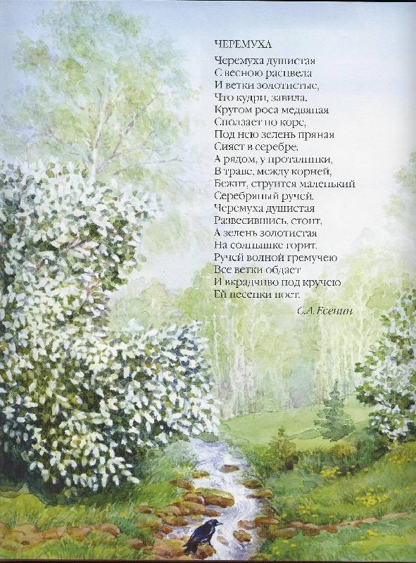 Иллюстрация 9 из 31 для Весенние стихи | Лабиринт - книги. Источник: Igra