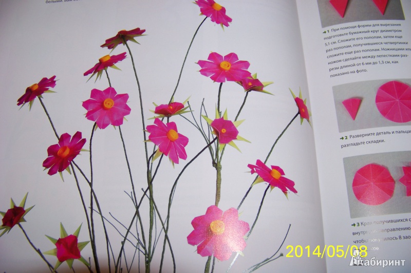 Иллюстрация 23 из 25 для Цветы и букеты из бумаги - Джеффри Руделл | Лабиринт - книги. Источник: G