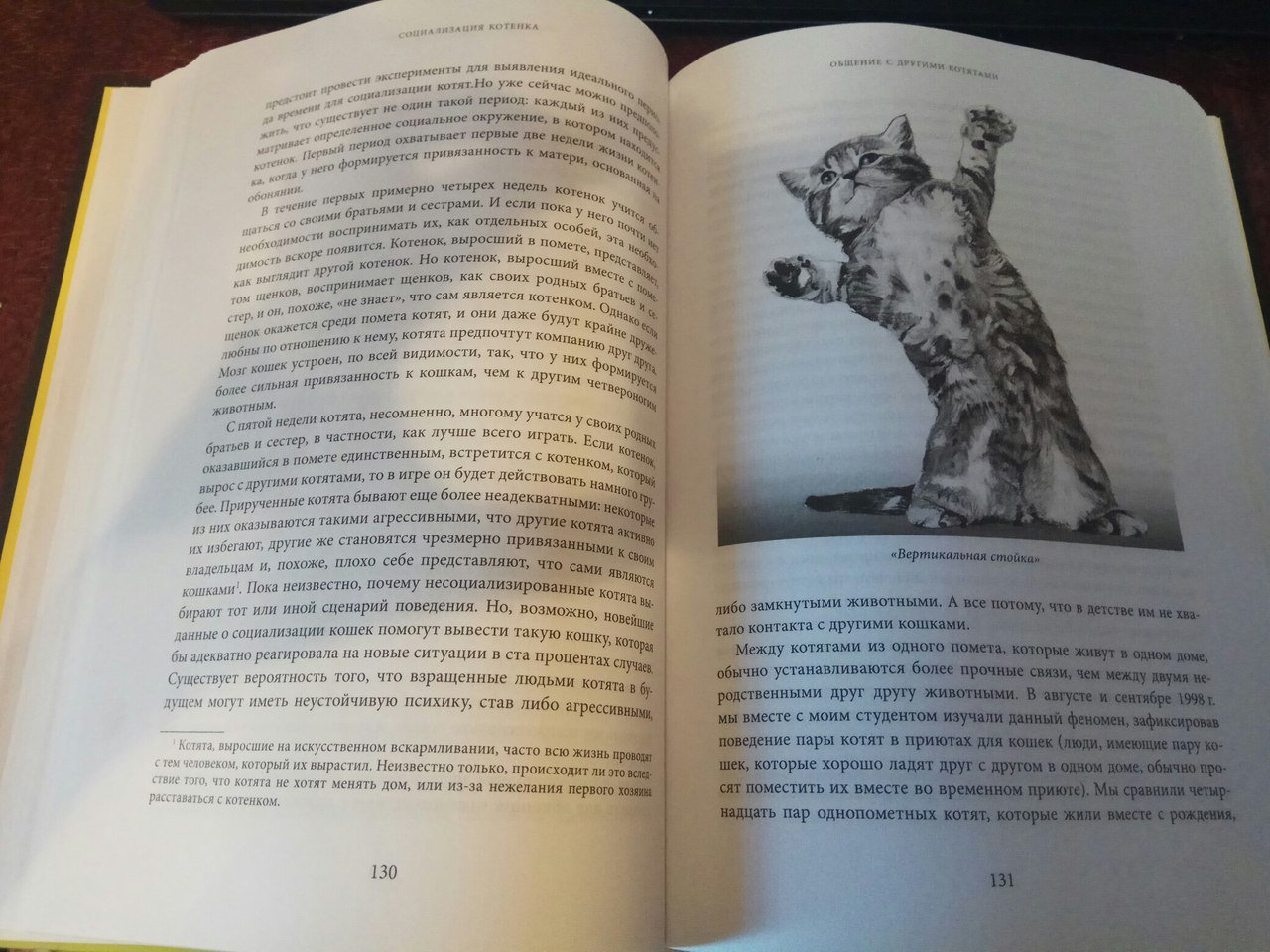 Иллюстрация 4 из 21 для Тайная жизнь кошки. Как понять истинную природу питомца и стать для него лучшим другом - Джон Брэдшоу | Лабиринт - книги. Источник: Лабиринт