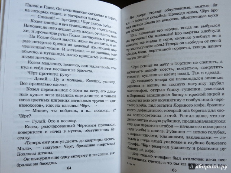 Иллюстрация 24 из 45 для Мой сумасшедший папа - Ирина Андрианова | Лабиринт - книги. Источник: Юта