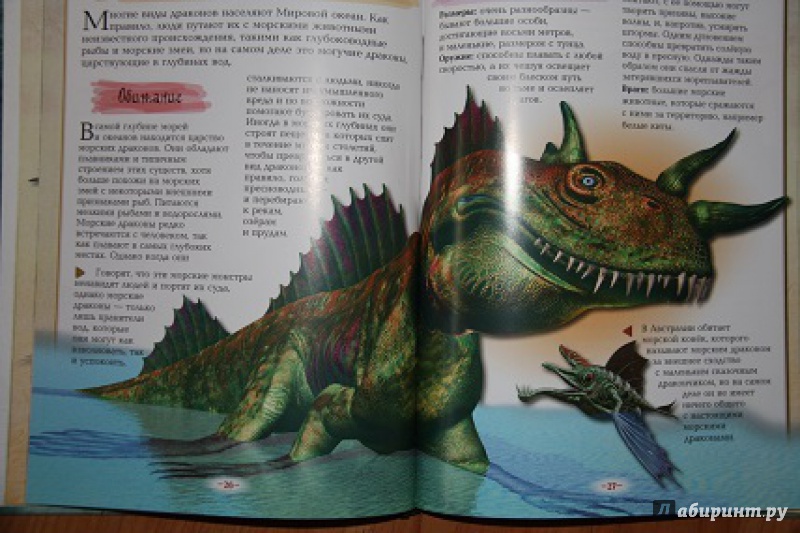 Иллюстрация 6 из 45 для Драконы, монстры и другие фантастические создания | Лабиринт - книги. Источник: Акико