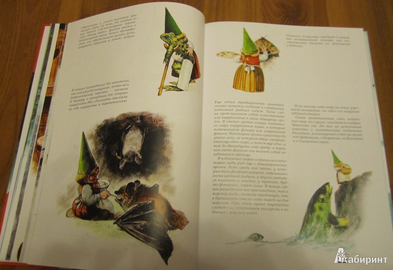 Иллюстрация 6 из 77 для Тайны гномов - Вил Хёйген | Лабиринт - книги. Источник: Лисенка