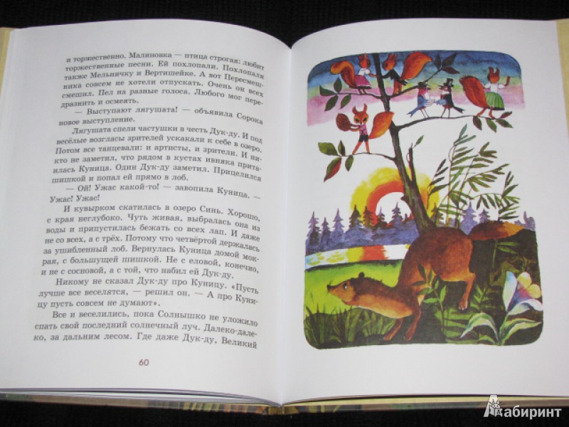 Иллюстрация 39 из 71 для Приключения Дук-ду - Валентина Путилина | Лабиринт - книги. Источник: Nemertona