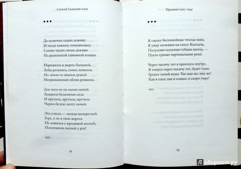 Иллюстрация 11 из 20 для Стихотворения - Сергей Гандлевский | Лабиринт - книги. Источник: fionna_cake