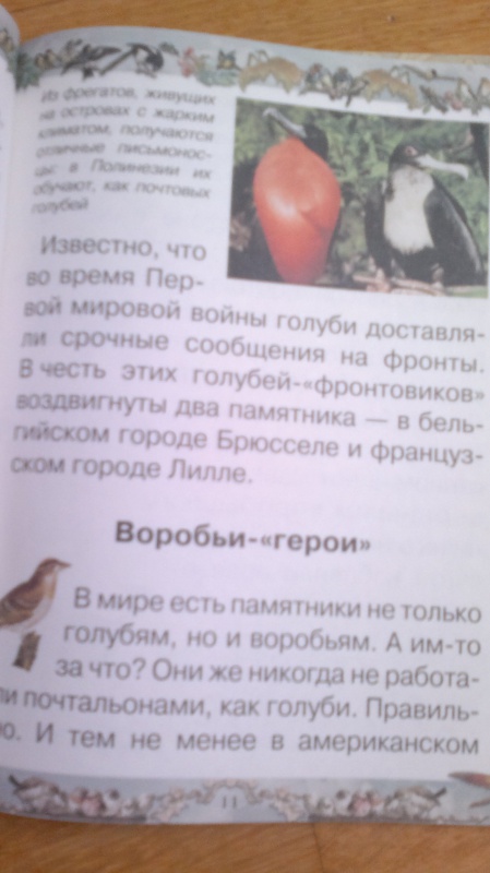 Иллюстрация 3 из 17 для Птичьи секреты - Валерий Роньшин | Лабиринт - книги. Источник: Гусева  Анна Сергеевна