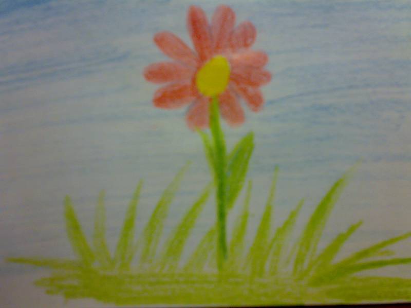 Иллюстрация 1 из 3 для Карандаши CARIOCA 6 цветов | Лабиринт - канцтовы. Источник: Юлия7