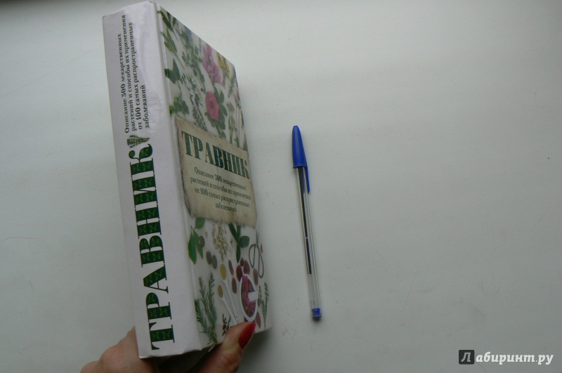 Иллюстрация 37 из 39 для Травник. Описание 300 лекарственных растений и способы их применения от 100 самых распространенных | Лабиринт - книги. Источник: Марина