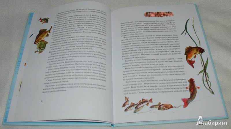 Иллюстрация 29 из 65 для Приключения Карпика - Андрей Клыков | Лабиринт - книги. Источник: Книжный кот