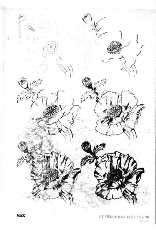 Иллюстрация 19 из 29 для Рисуем 50 цветов и деревьев - Эймис, Эймис | Лабиринт - книги. Источник: фиалка