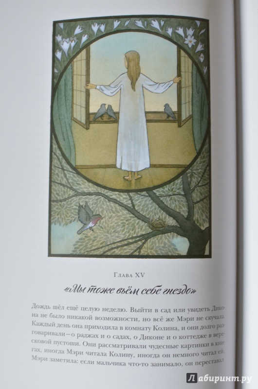 Иллюстрация 19 из 25 для Таинственный сад - Фрэнсис Бёрнетт | Лабиринт - книги. Источник: reka