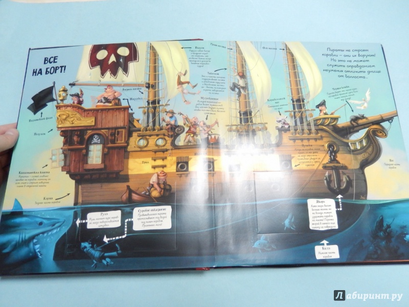 Иллюстрация 6 из 8 для Пираты. Практический курс - Либби Гамильтон | Лабиринт - книги. Источник: dbyyb