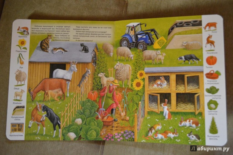 Иллюстрация 20 из 48 для На ферме | Лабиринт - книги. Источник: dfgjkl