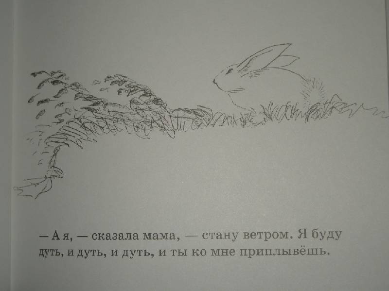 Иллюстрация 43 из 46 для Как зайчонок убегал - Уайз Браун | Лабиринт - книги. Источник: Мартынова  Анна Владимировна