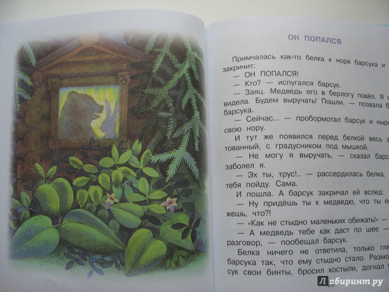 Иллюстрация 14 из 36 для Сказки для малышей - Григорий Остер | Лабиринт - книги. Источник: Крелена