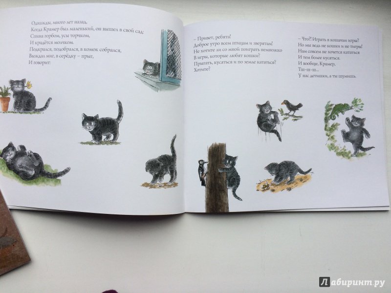 Иллюстрация 12 из 60 для Кот Крамер идет в лес - Меир Шалев | Лабиринт - книги. Источник: ИрМур