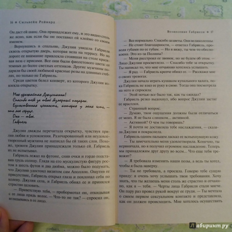 Иллюстрация 11 из 20 для Вознесение Габриеля - Сильвейн Рейнард | Лабиринт - книги. Источник: Воронина  Дарья