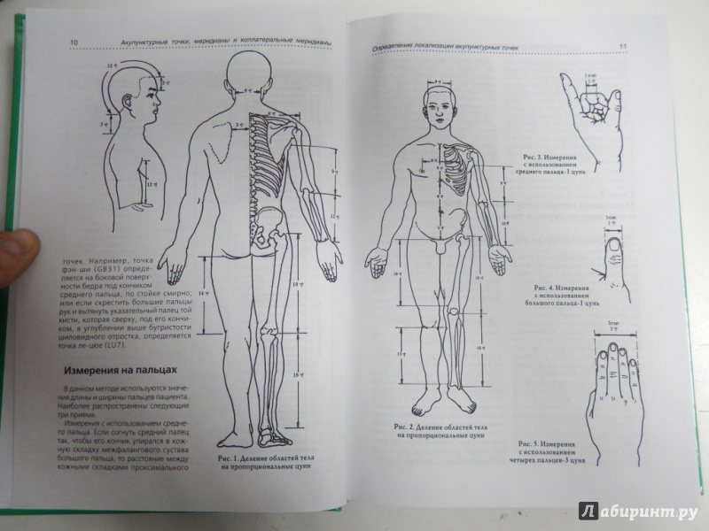 Иллюстрация 5 из 13 для Золотые методики китайской медицины - Владимир Васичкин | Лабиринт - книги. Источник: dbyyb