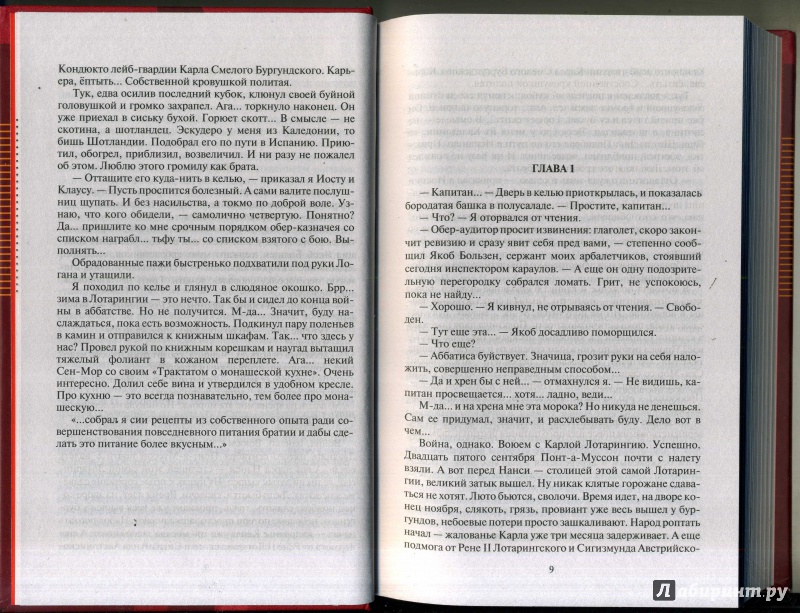 Иллюстрация 6 из 44 для Страна Арманьяк. Дракон Золотого Руна - Александр Башибузук | Лабиринт - книги. Источник: Ольга