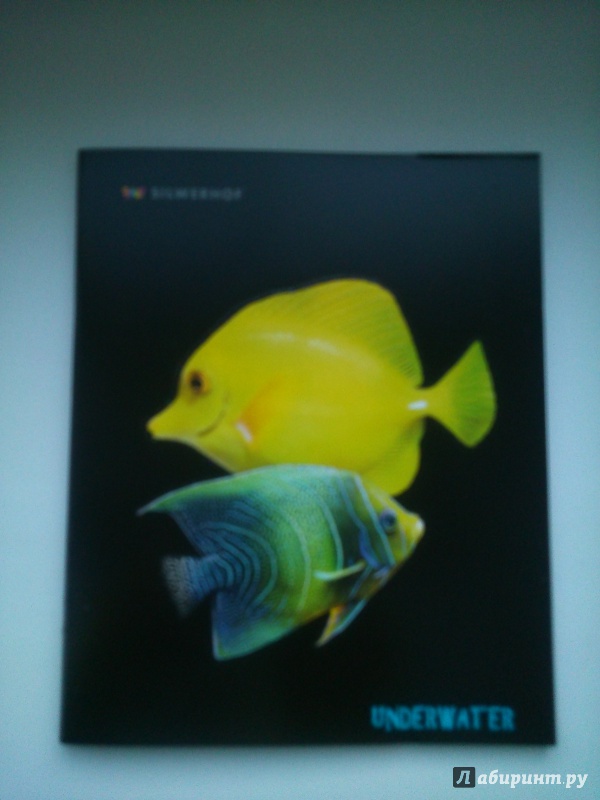 Иллюстрация 3 из 4 для Тетрадь 48 листов. Aquarium fish.Клетка (811426-55) | Лабиринт - канцтовы. Источник: Глебова  Алеся Дмитриевна