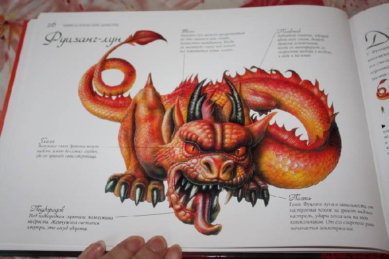 Иллюстрация 14 из 26 для Драконология | Лабиринт - книги. Источник: Шелковица