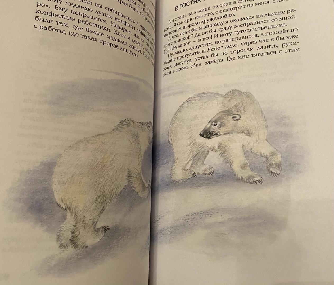 Иллюстрация 44 из 45 для В гостях у белого медведя - Олег Бундур | Лабиринт - книги. Источник: Романенко  Анна