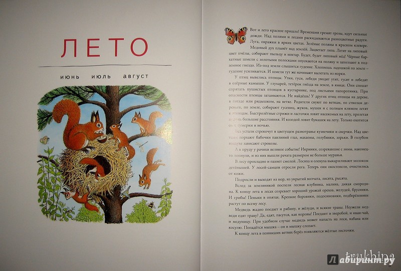 Иллюстрация 17 из 109 для В лесу - Петр Багин | Лабиринт - книги. Источник: Трухина Ирина