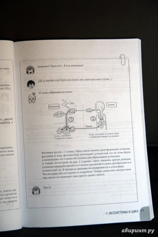 Иллюстрация 21 из 37 для Занимательная биохимия. Манга - Масахару Такэмура | Лабиринт - книги. Источник: Vera Grey
