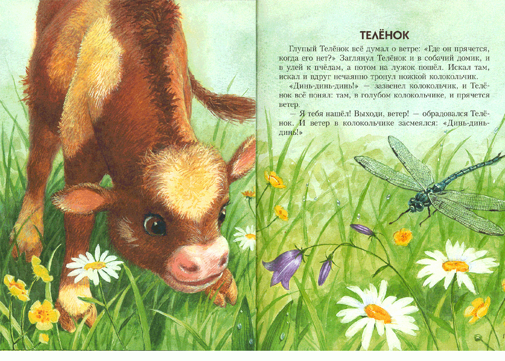 Иллюстрация 2 из 46 для Сказки о природе. Сказки-малютки - Геннадий Цыферов | Лабиринт - книги. Источник: РИВА