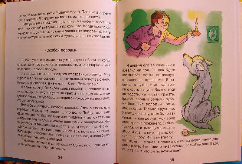 Иллюстрация 5 из 15 для Рассказы о животных - Борис Житков | Лабиринт - книги. Источник: samuel whiskers