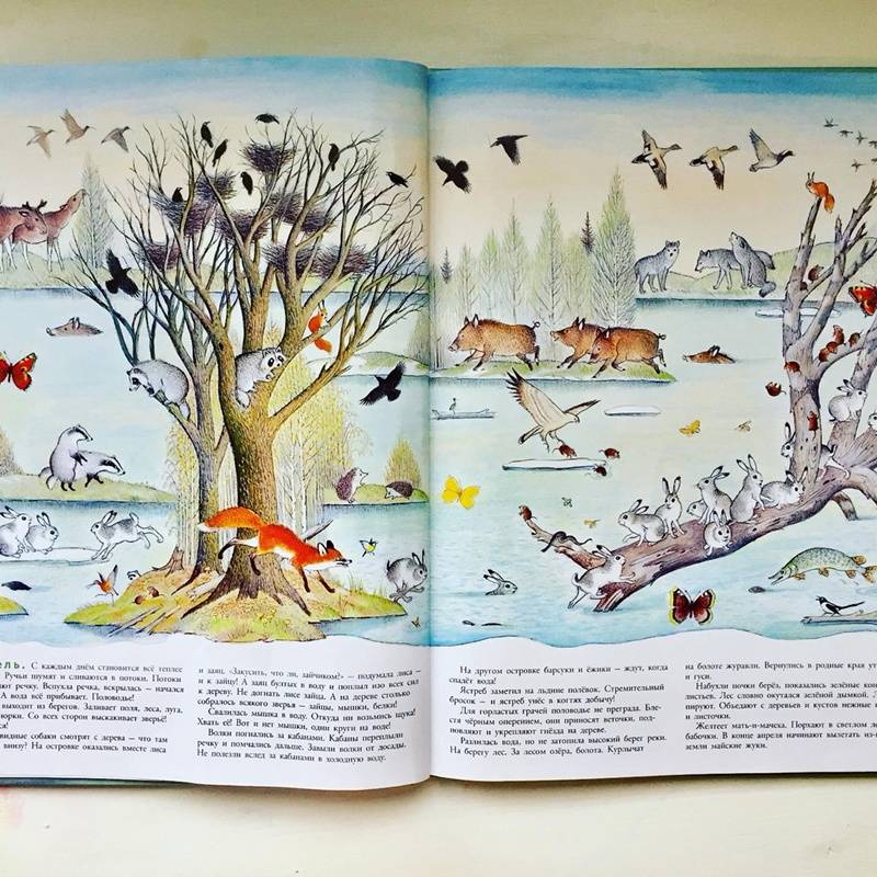 Иллюстрация 101 из 109 для В лесу - Петр Багин | Лабиринт - книги. Источник: Янцевич  Валерия