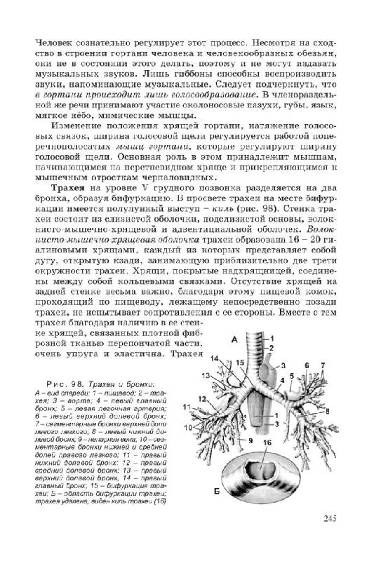 Иллюстрация 15 из 21 для Биология для поступающих в ВУЗы - Габриэль Билич | Лабиринт - книги. Источник: Юта