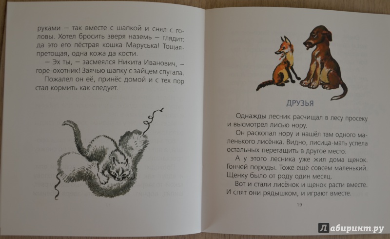 Иллюстрация 42 из 45 для Пищик - Евгений Чарушин | Лабиринт - книги. Источник: QZX