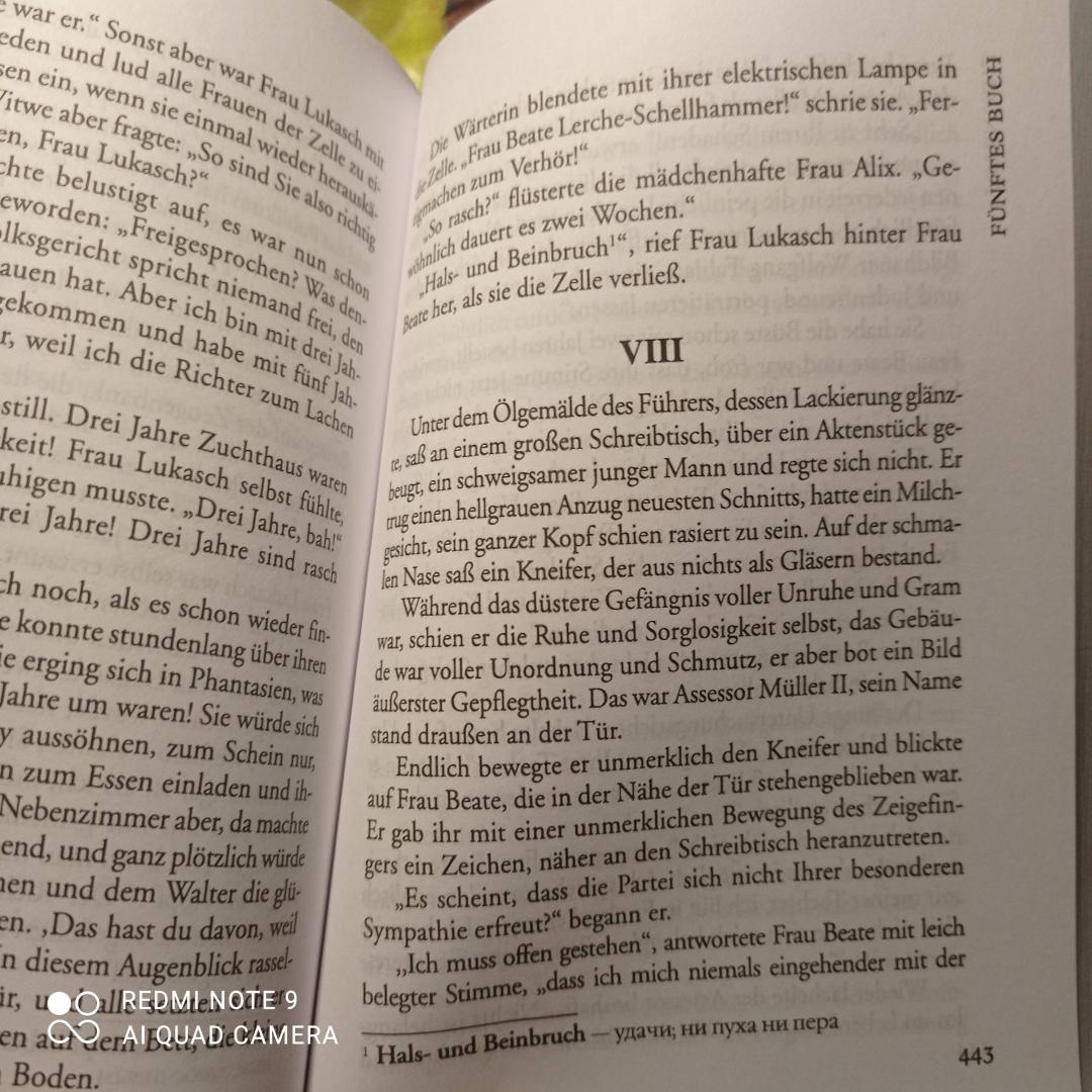 Иллюстрация 18 из 18 для Пляска смерти. Книга для чтения на немецком языке. Неадаптированная - Бернард Келлерман | Лабиринт - книги. Источник: SPQR