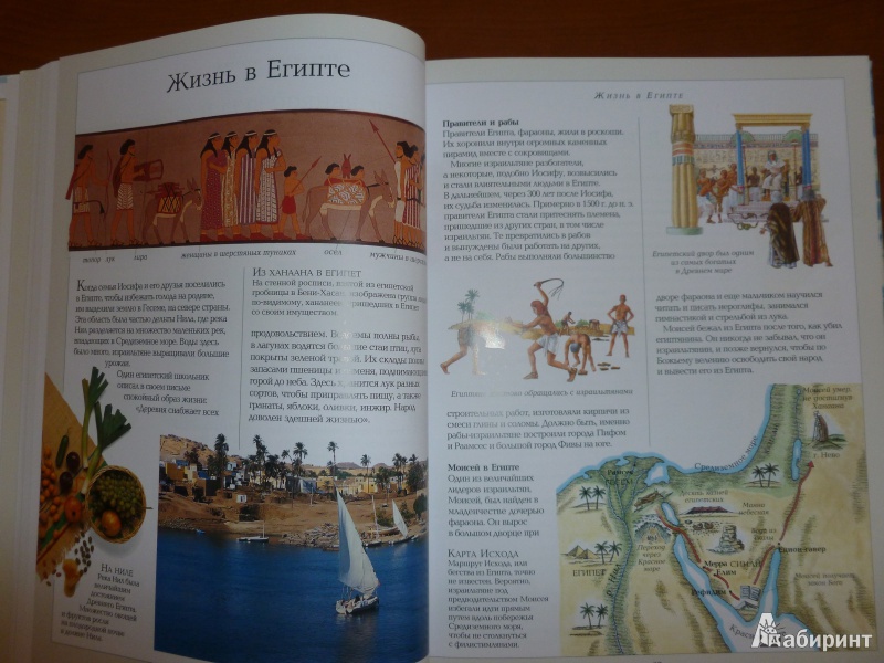 Иллюстрация 11 из 32 для Иллюстрированная Библия для детей - Селина Гастингс | Лабиринт - книги. Источник: дева
