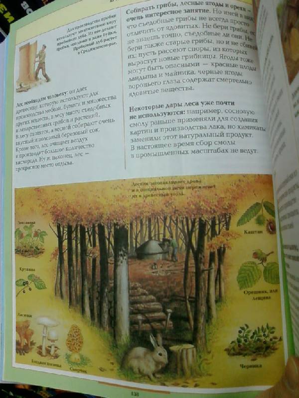 Иллюстрация 17 из 22 для Большая детская энциклопедия. Хочу все знать | Лабиринт - книги. Источник: lettrice