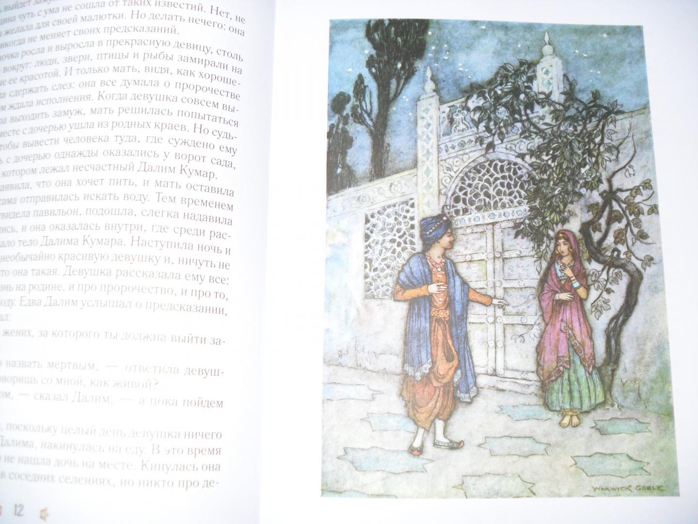 Иллюстрация 21 из 24 для Бенгальские сказки | Лабиринт - книги. Источник: Мартюшова  Наталья
