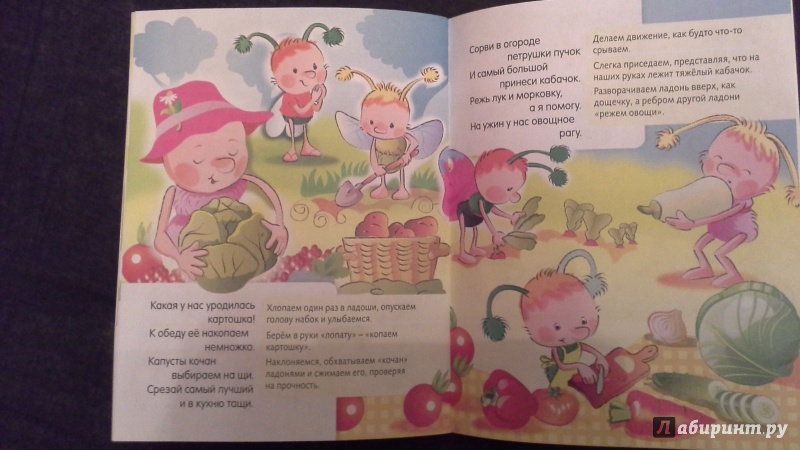 Иллюстрация 7 из 16 для Что я выращу в саду - Ольга Александрова | Лабиринт - книги. Источник: Теплова  Юлия