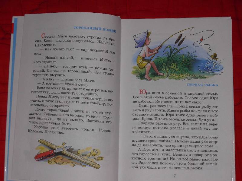Иллюстрация 9 из 9 для Внеклассное чтение для 1 класса - Бианки, Голявкин, Воронкова | Лабиринт - книги. Источник: ---Марго----