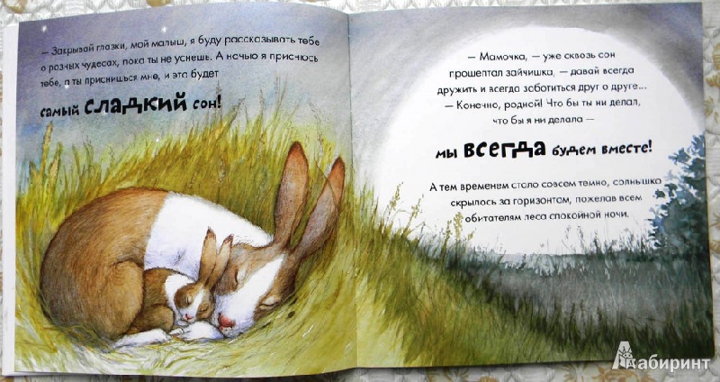 Иллюстрация 24 из 28 для Всегда вместе - Бет Шошен | Лабиринт - книги. Источник: Раскова  Юлия