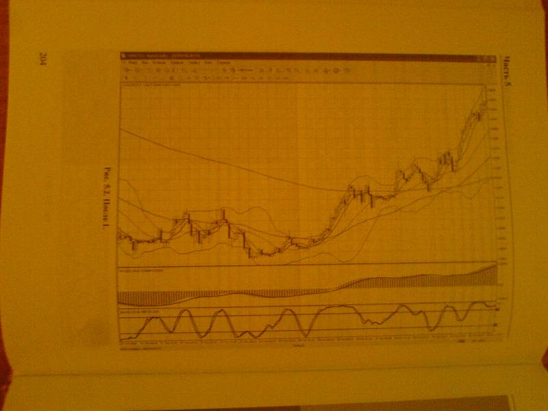 Иллюстрация 17 из 17 для Forex-трейдинг. Практические аспекты торговли на мировых валютных рынках - Раннев, Шилов | Лабиринт - книги. Источник: Лучников  Василий
