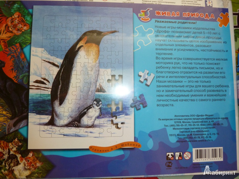 Значение пингвинов в природе. Пазл Живая природа Пингвин. Лабиринт Пингвин большой. Тетрадь изображением с природа пингвины. Лабиринт с пингвином для детей 4-5 лет.