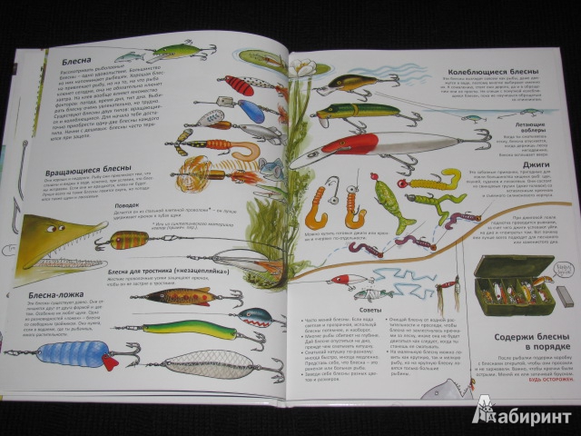 Иллюстрация 52 из 60 для Книга для начинающих великих рыболовов - Нурдквист, Вернер-Карлссон | Лабиринт - книги. Источник: Nemertona