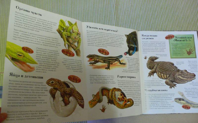 Иллюстрация 18 из 21 для Рептилии - Ханна Уилсон | Лабиринт - книги. Источник: Troulala