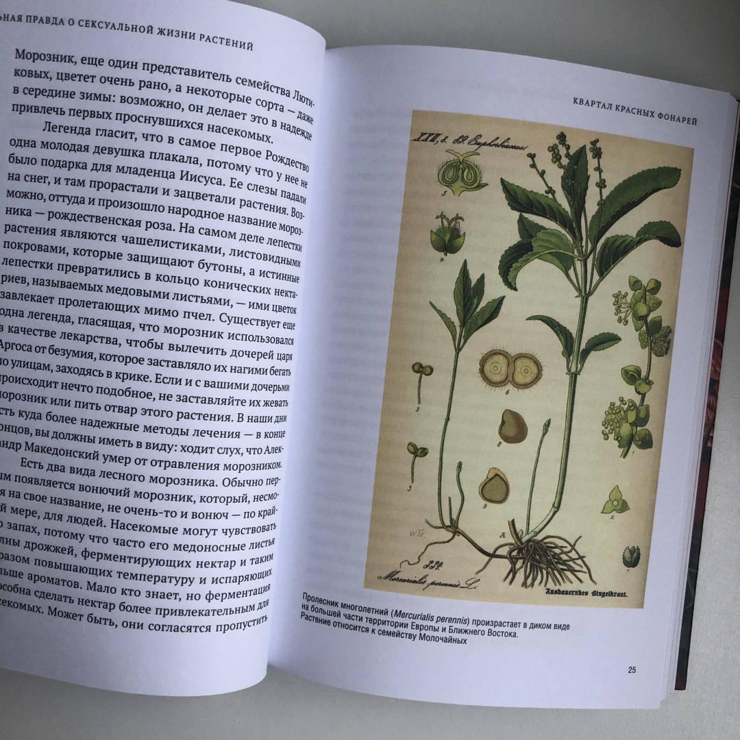 Иллюстрация 34 из 47 для Скандальная правда о сексуальной жизни растений - Майкл Аллаби | Лабиринт - книги. Источник: Артём Мотин