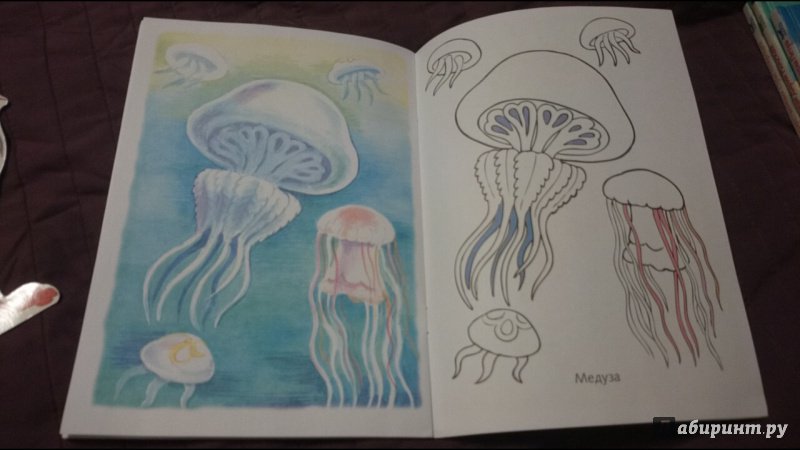 Иллюстрация 20 из 34 для Раскраска Жители морей | Лабиринт - книги. Источник: anka46